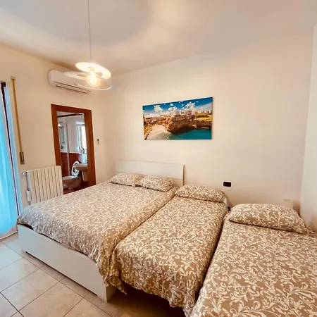 Lucky's House 노이카타로